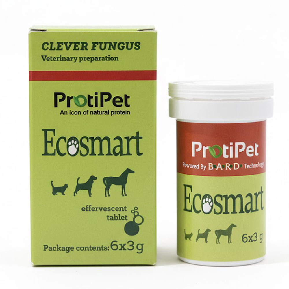 EcoSmart_Edited-1