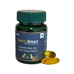 DERMASMART
