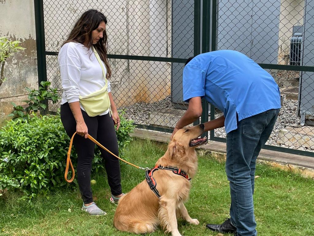 WhatsApp Image 2025-10-07 at 14.58